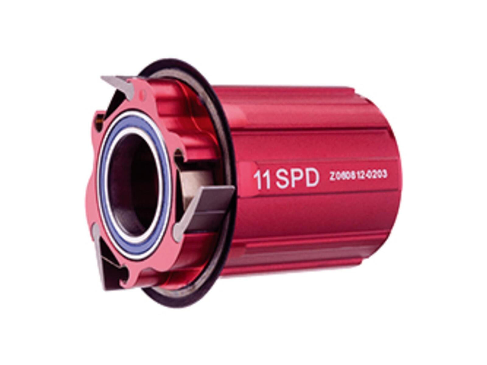 ZIPP picture