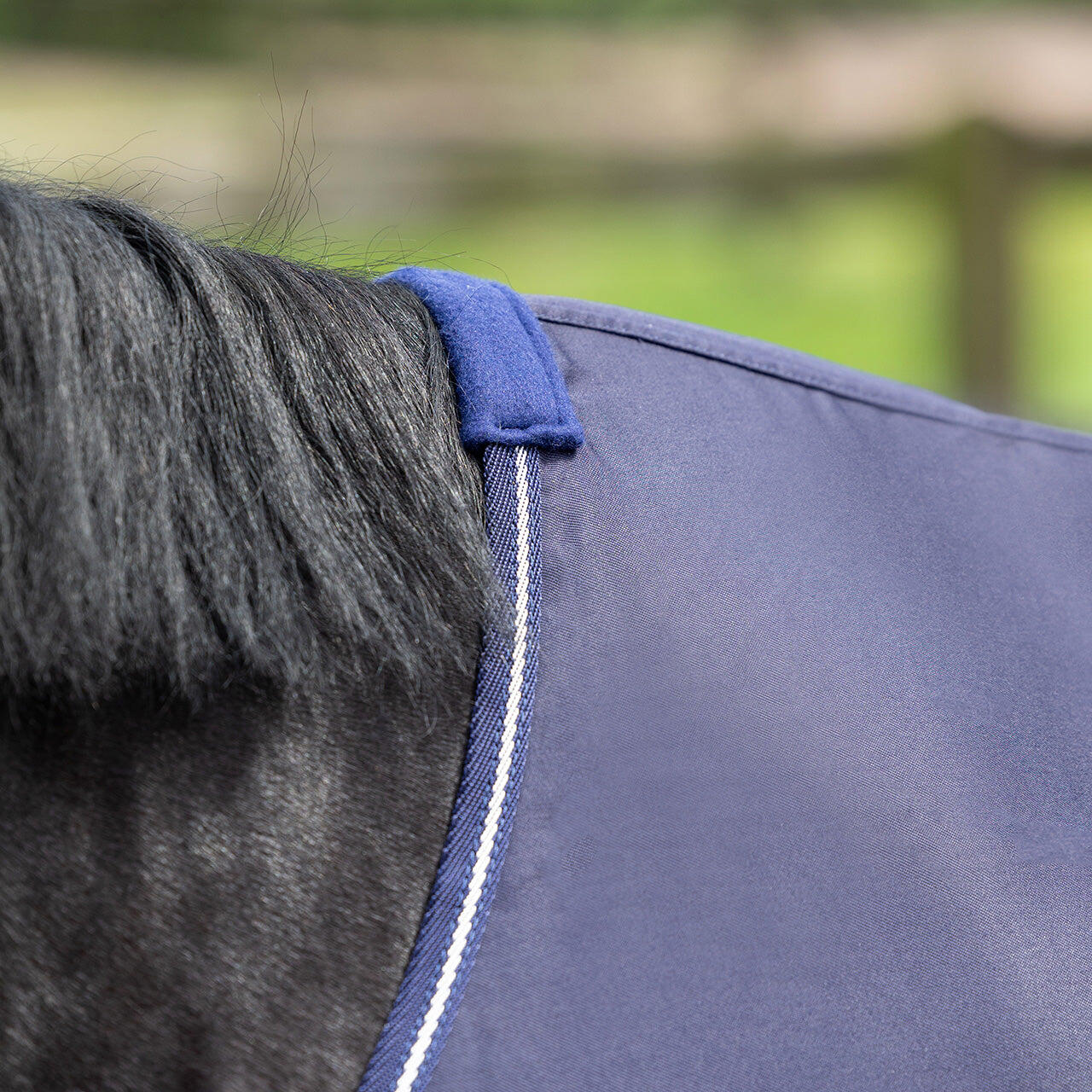 Katoenen paardenhemd QHP Basic 3/5