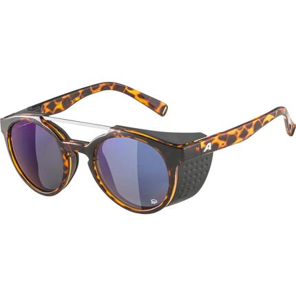 Lunettes de soleil Alpina Glace P