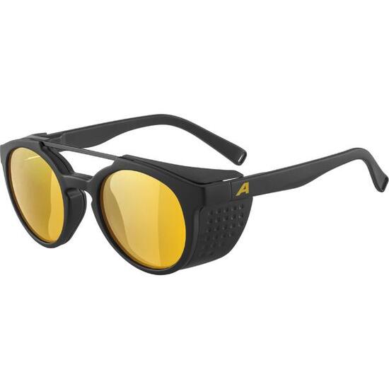 Lunettes de soleil Alpina Glace P