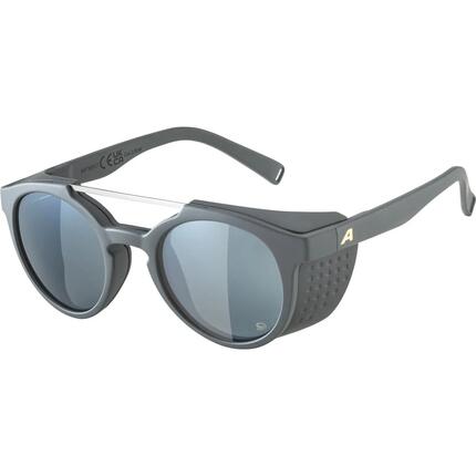 Lunettes de soleil Alpina Glace P