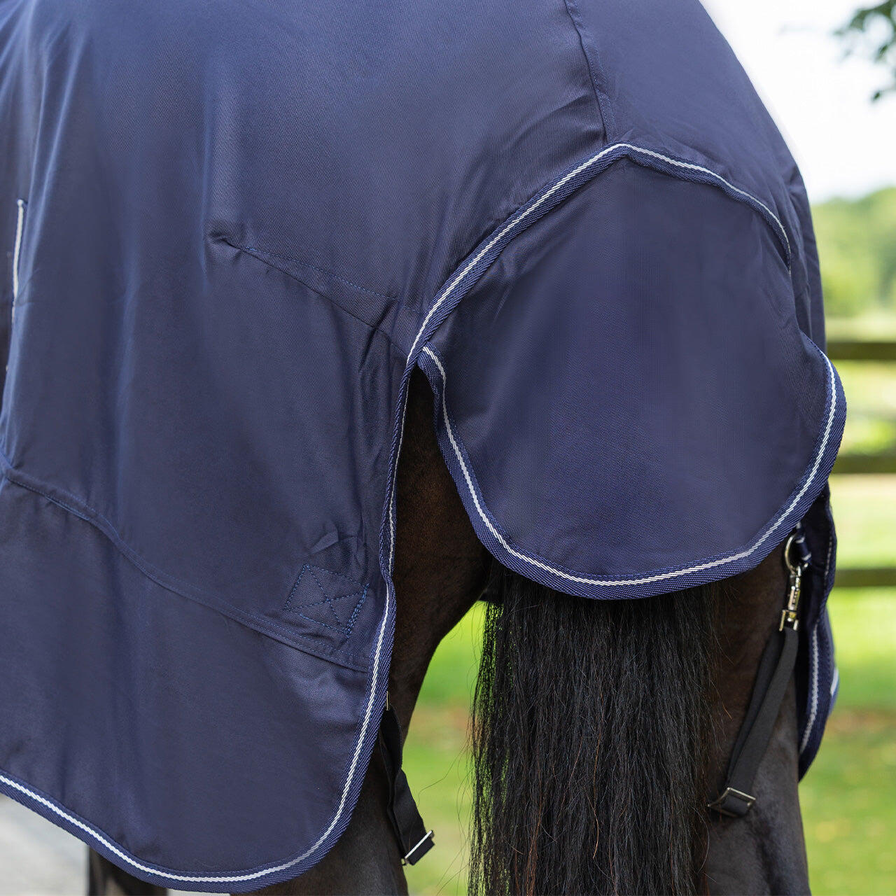 Chemise coton Basic - QHP 5/5