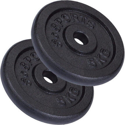 Disque musculation fonte 2x30kg