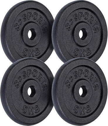 Disque musculation fonte 2x30kg