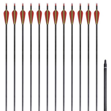 VidaXL Flèches carbone pour arc recurve 30'' (76,2 cm) 12 pièces