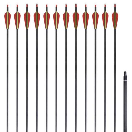 VidaXL Flèches carbone pour arc recurve 30'' (76,2 cm) 12 pièces