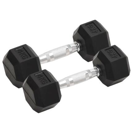VidaXL Kurzhanteln 2er-Set je 4 kg