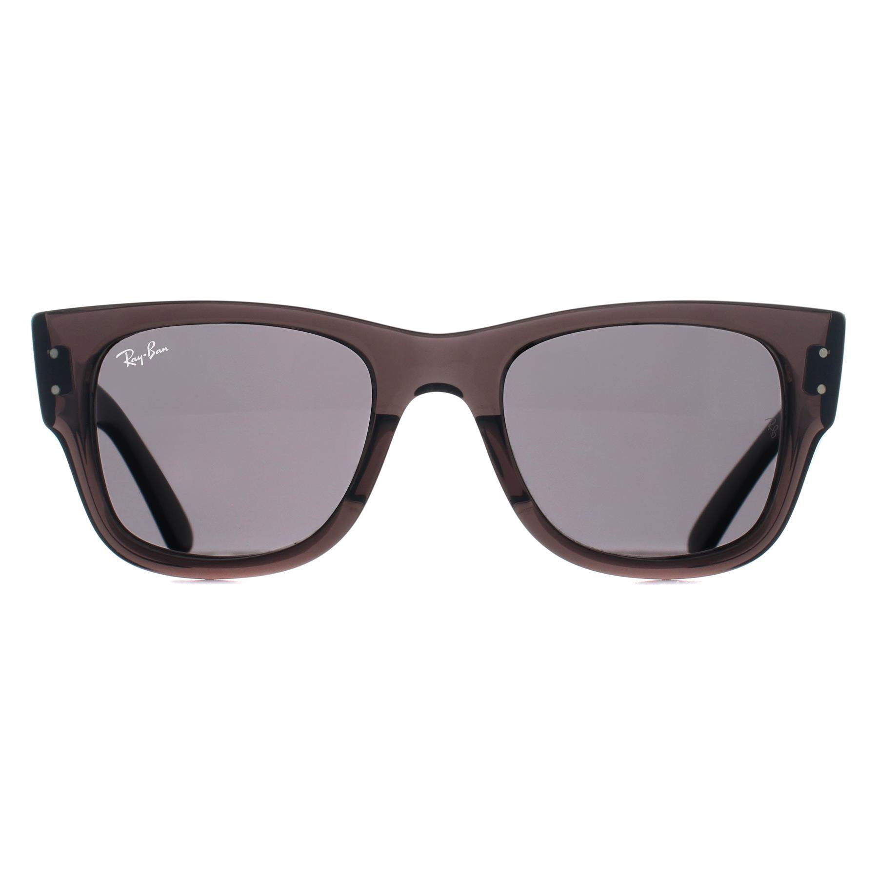 RAY-BAN picture