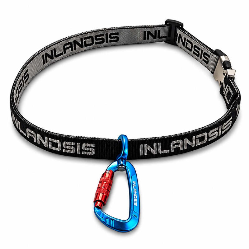 INLANDSIS picture