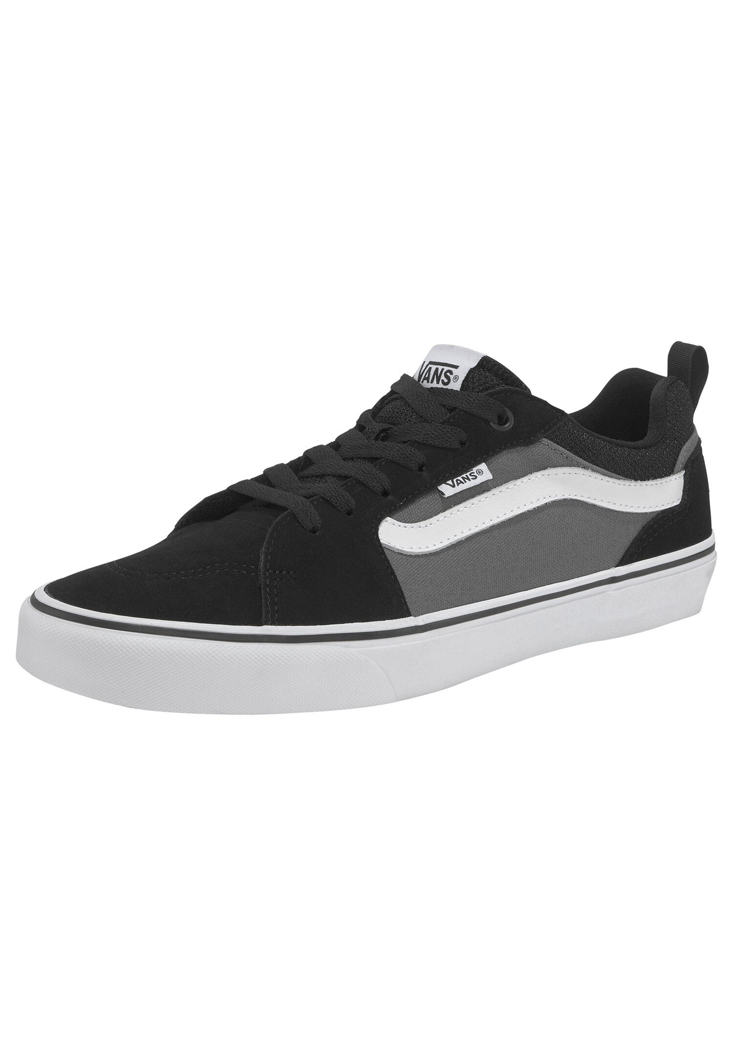 VANS picture