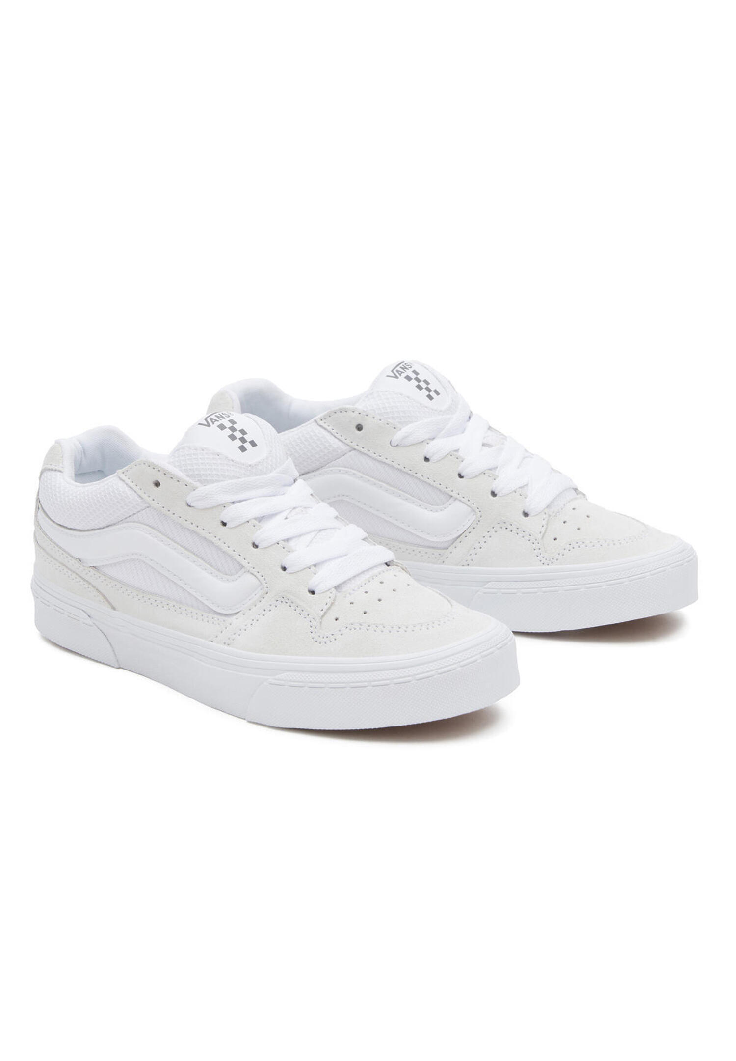 VANS picture
