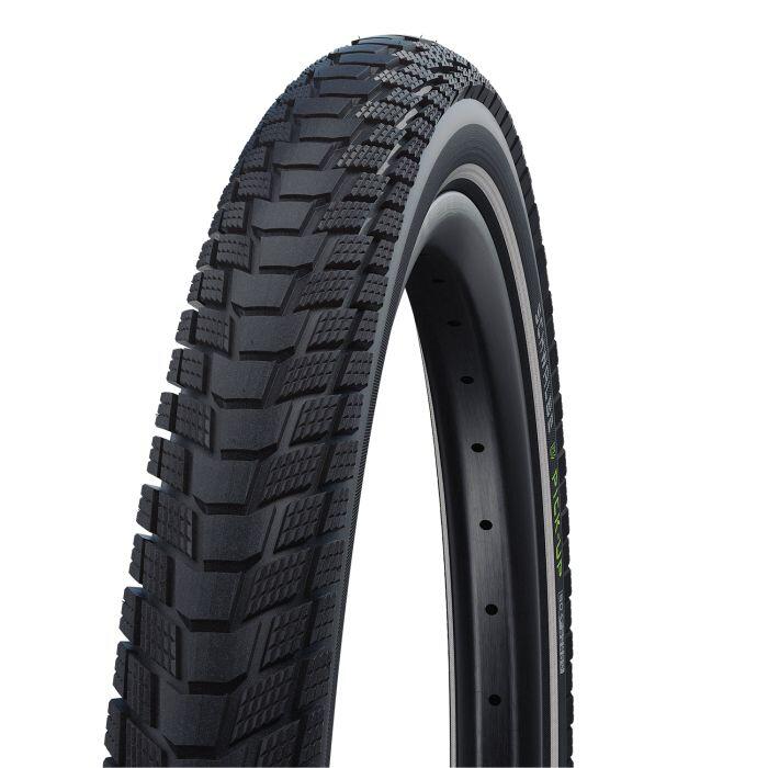 SCHWALBE picture