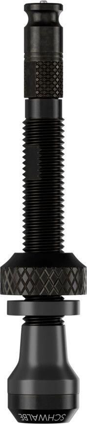 SCHWALBE picture