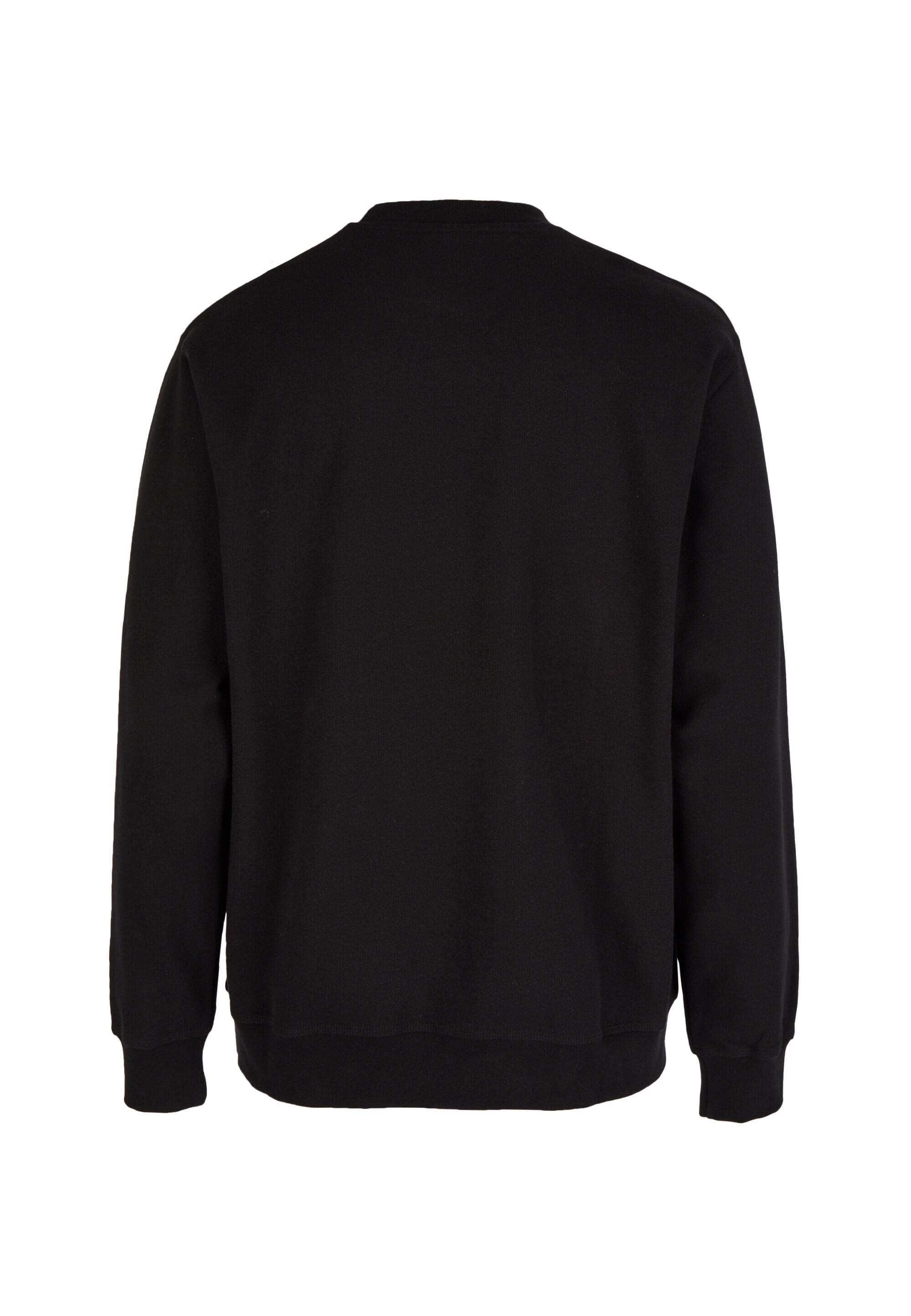 Sweatshirt Sketch Gull 3/5