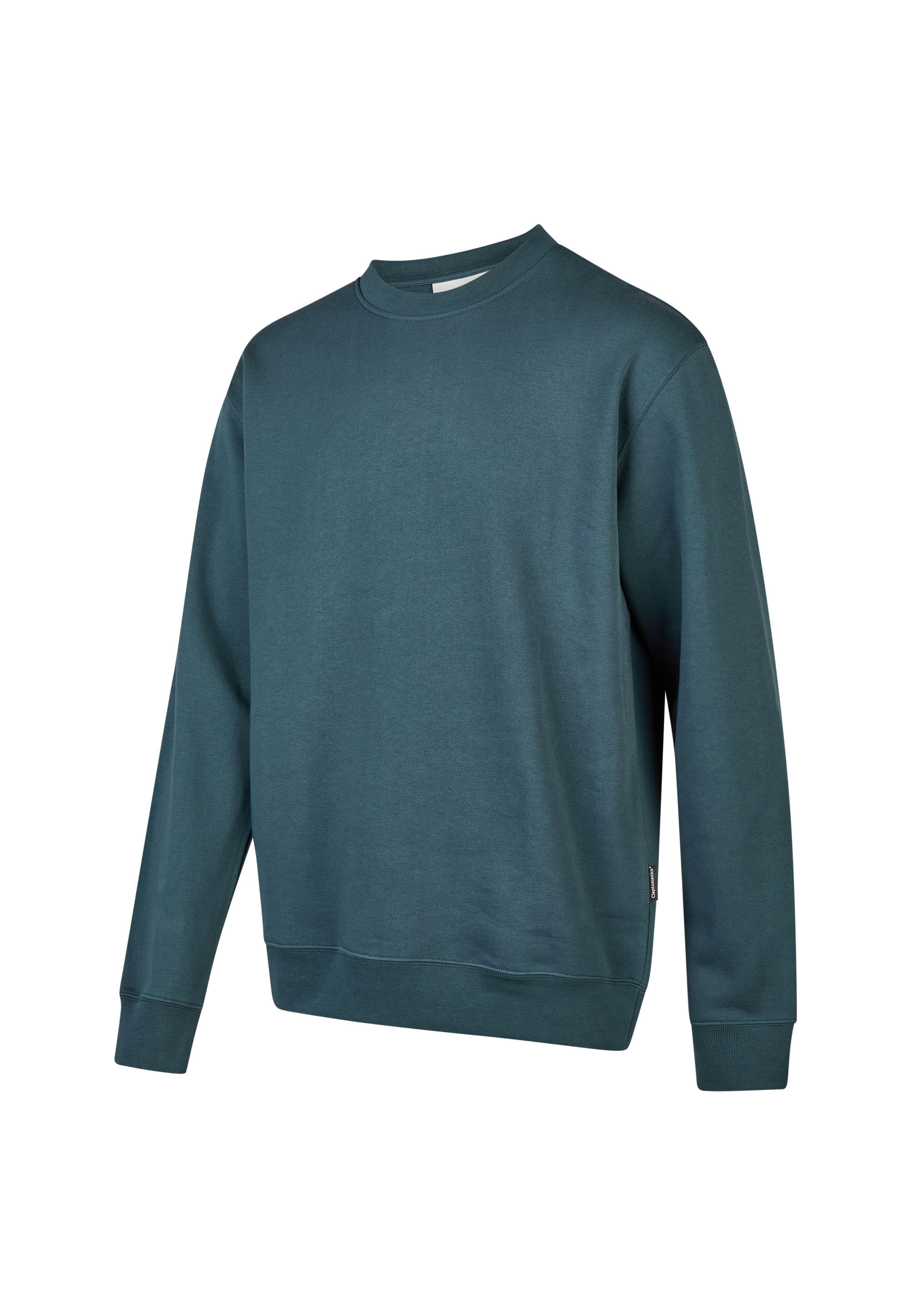 Sweatshirt Crewneck Ligull Classic 3/5