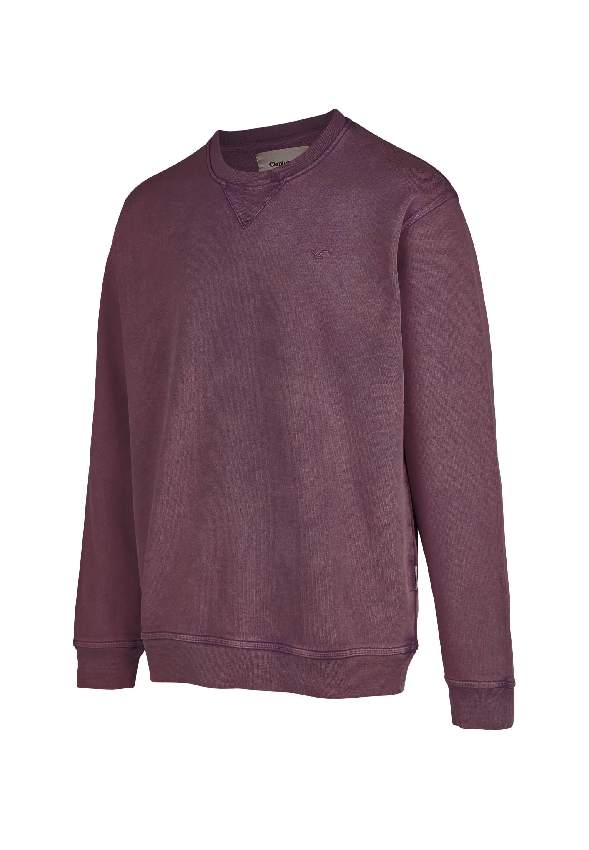 Sweatshirt Ligull Washed 2/5