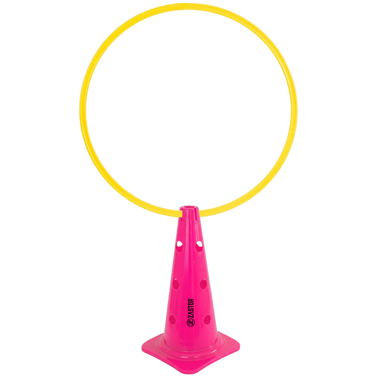 Señalizador Aro-Pica 43 cm Con 12 Agujeros Para Picas Fucsia 5/5