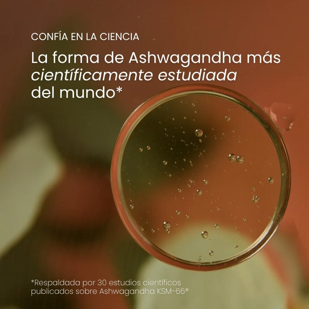 Ashwagandha Relax 60 Capsulas Gudslip 3/4