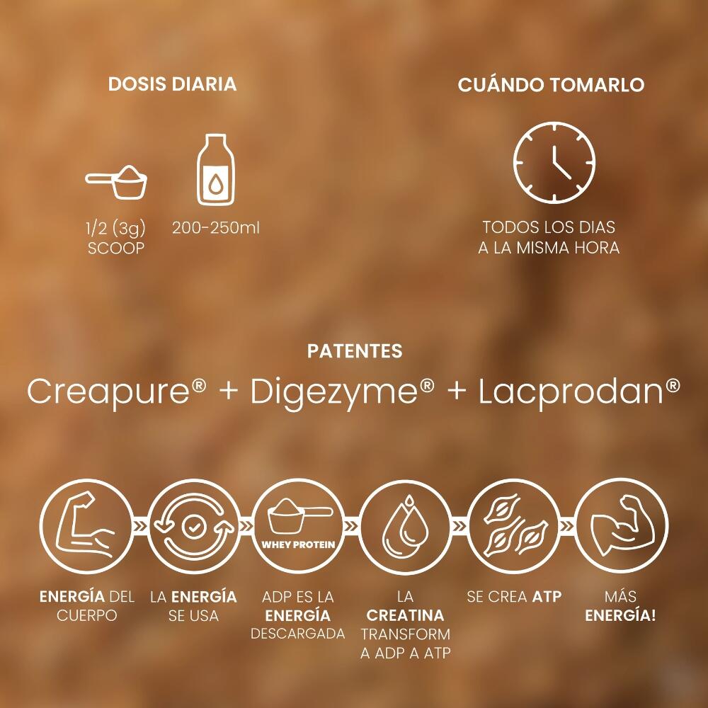 Whey Protein con Creapure Sabor Peanut 1KG Protella 4/5