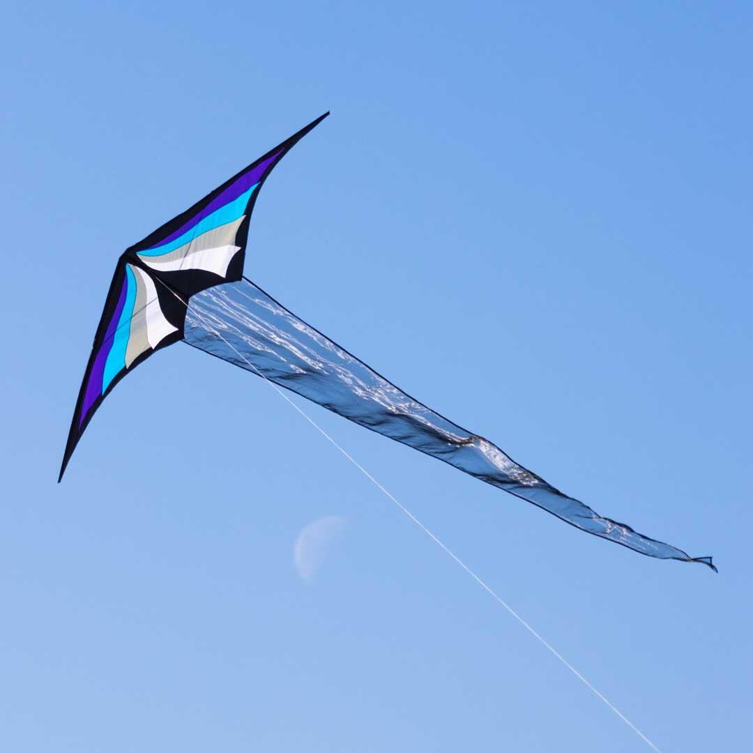 Cerf-volant delta monofil adulte 200cm queue organza 5m Brasington Glace 3/3