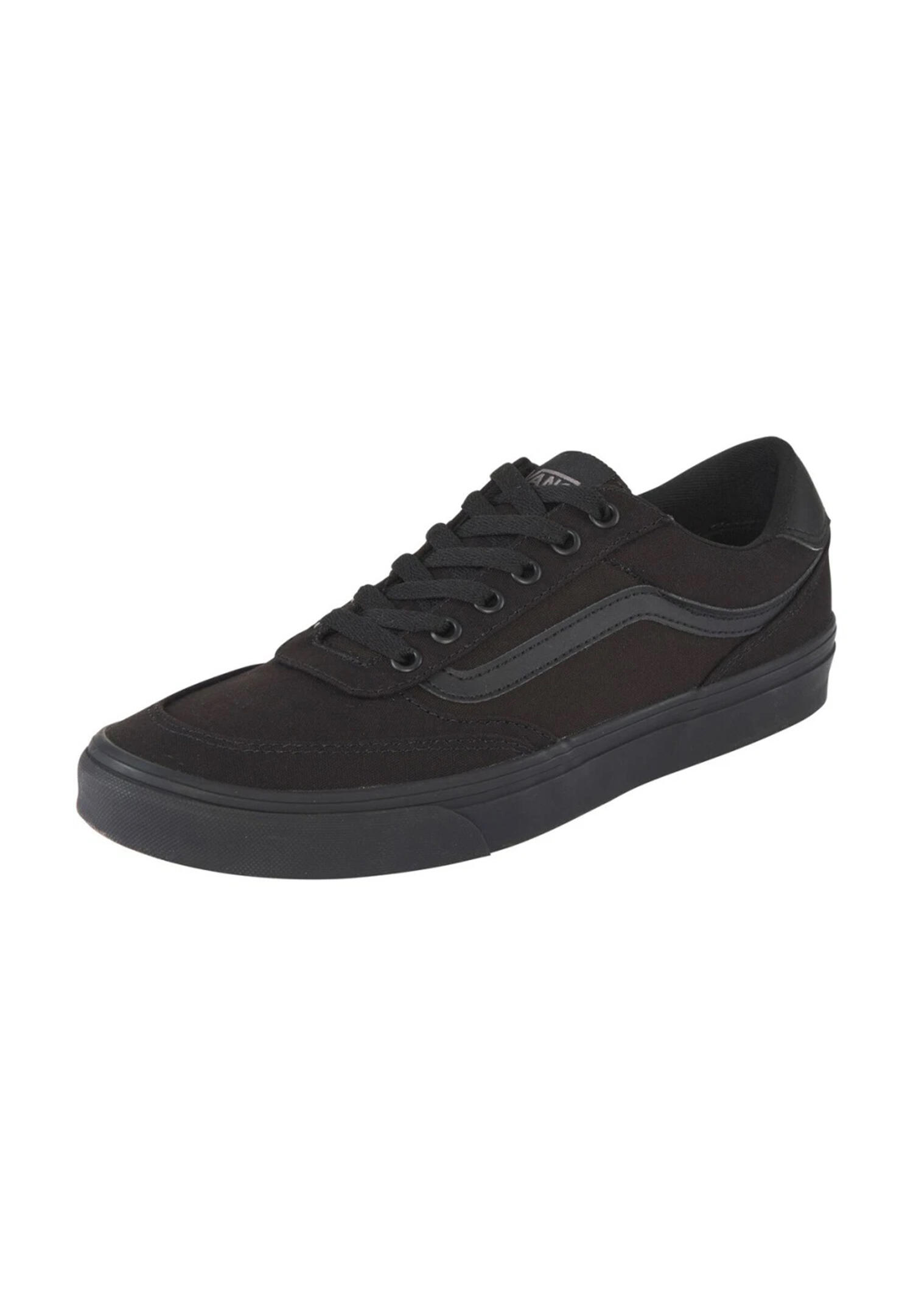 VANS picture