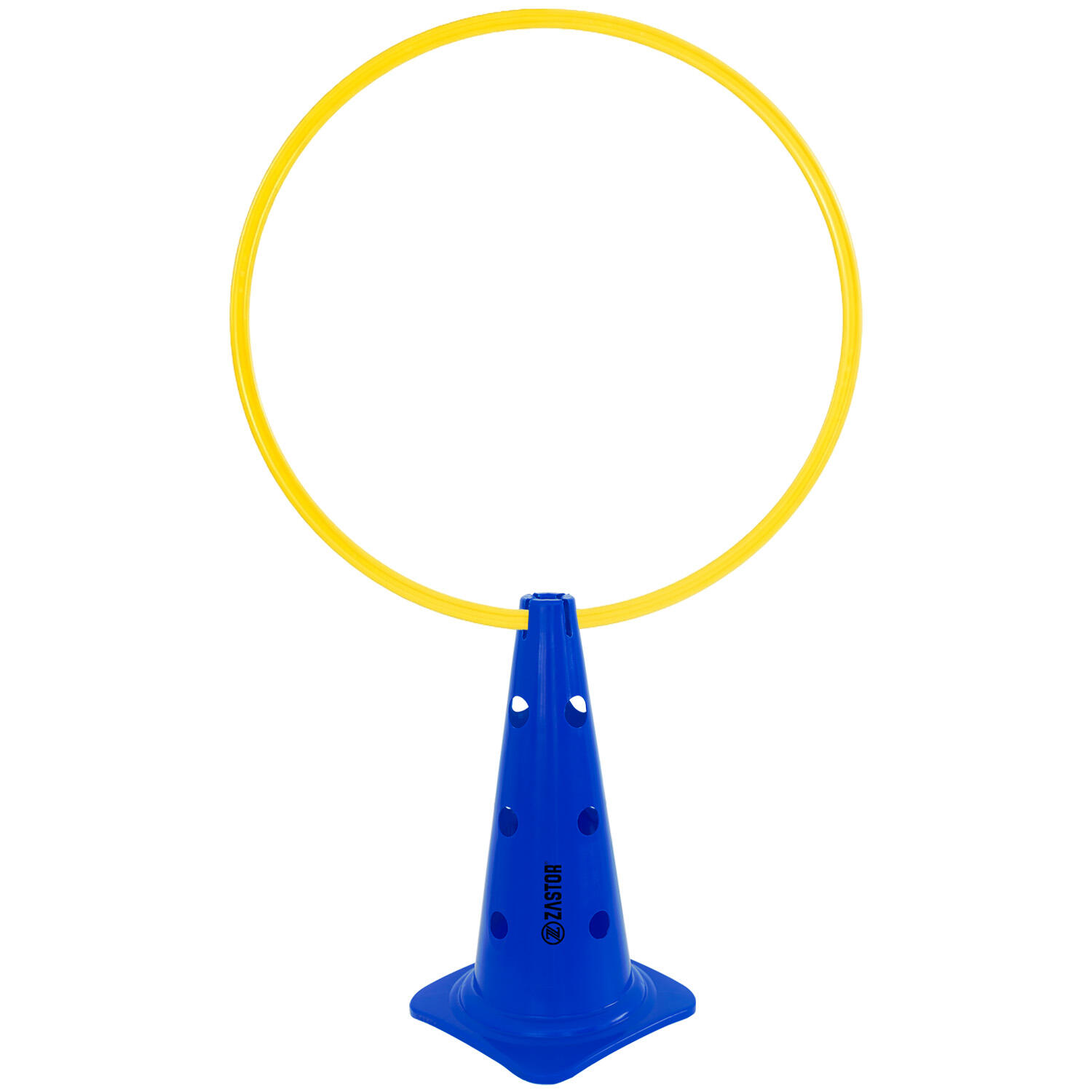 Señalizador Aro-Pica 43 cm Con 12 Agujeros Para Picas Azul 5/5