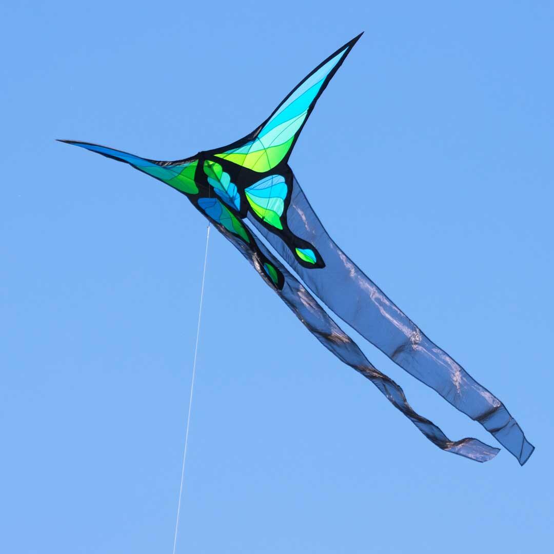 Cerf-volant delta monofil adulte 195cm queue organza Brasington Papillon 2/2