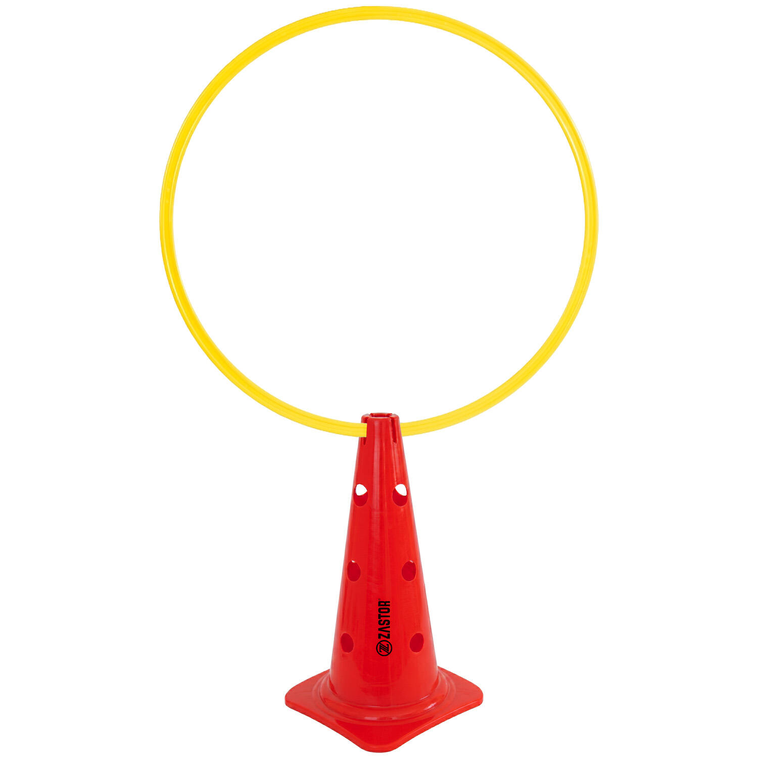 Señalizador Aro-Pica 43 cm Con 12 Agujeros Para Picas 5/5