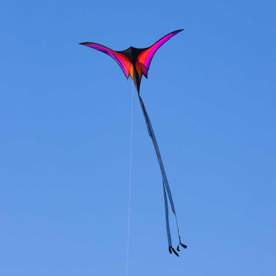 Cerf-volant delta monofil adulte 178cm queue organza Brasington Corbeau 2/2
