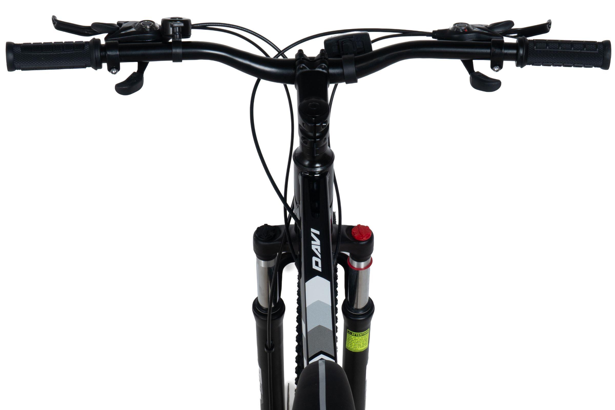 Vélo VTT Davi Terrano 29", 170-195 cm, 21 vitesses, Noir/Blanc 3/6