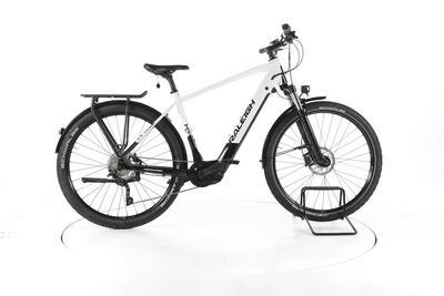 Tweedehands - raleigh dundee 10 trekking e-bike - goed