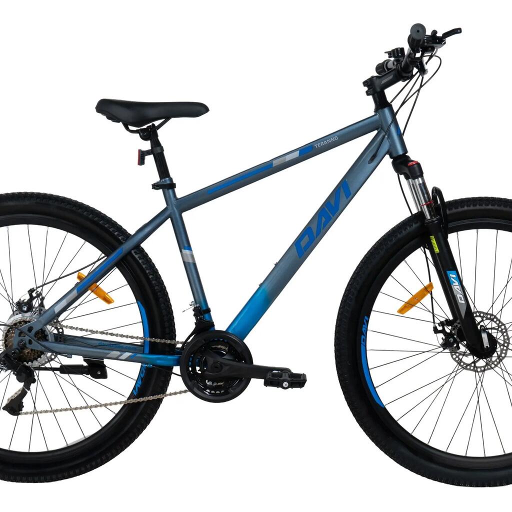 MTB bicycle Davi Terrano 29", 170-195 cm, 21 speeds, Grey/Blue