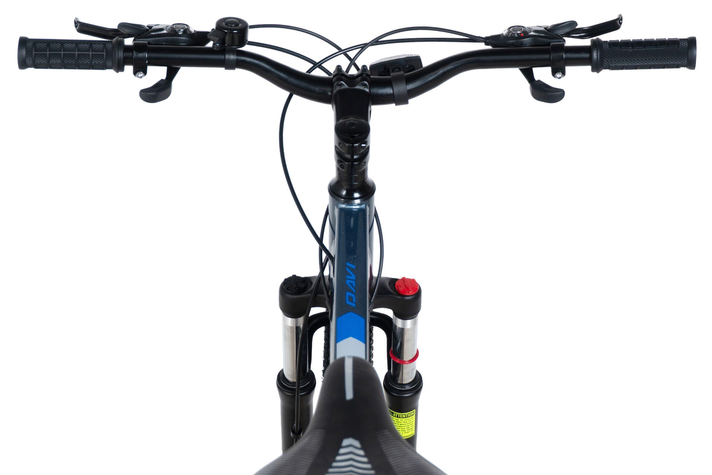 Vélo VTT Davi Terrano 29", 170-195 cm, 21 vitesses, Gris/Bleu 5/6