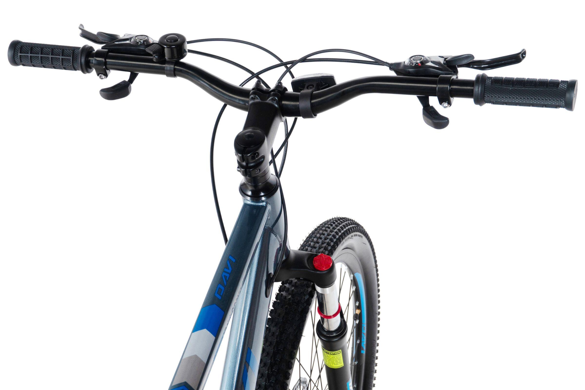 Vélo VTT Davi Terrano 29", 170-195 cm, 21 vitesses, Gris/Bleu 4/6