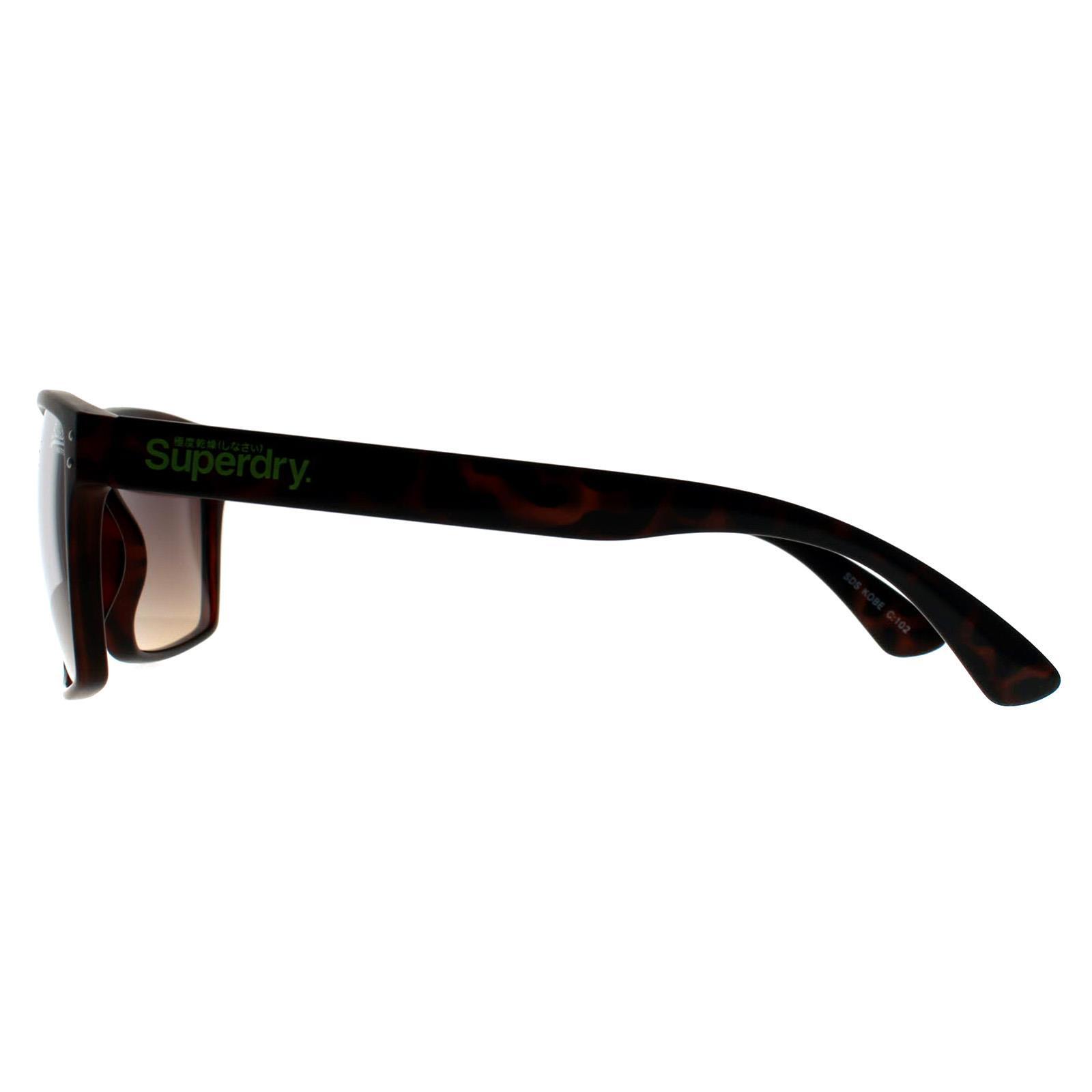 Superdry Square Mens Havana Brown Kobe 3/3