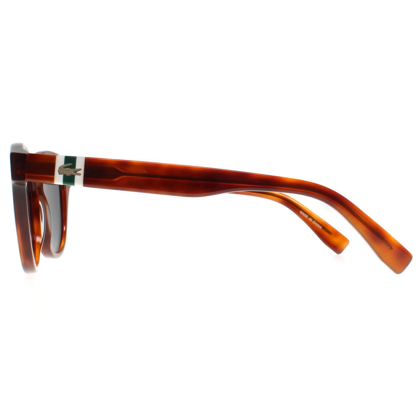 Lacoste Round Mens Blonde Havana Smoke Grey L6006S 3/3