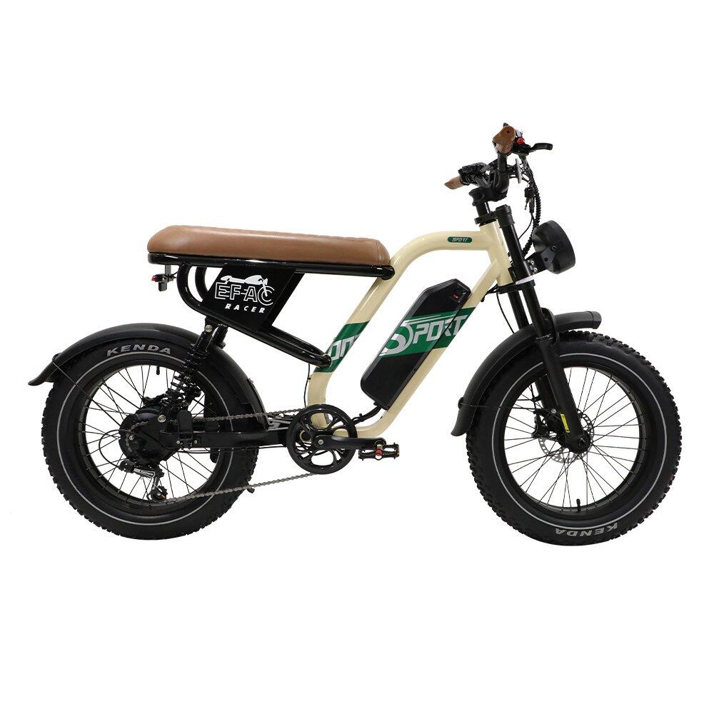 Bici elettrica off-road W66 adulti, pneumatico 20" largo, batteria 48V 13,5Ah 2/7