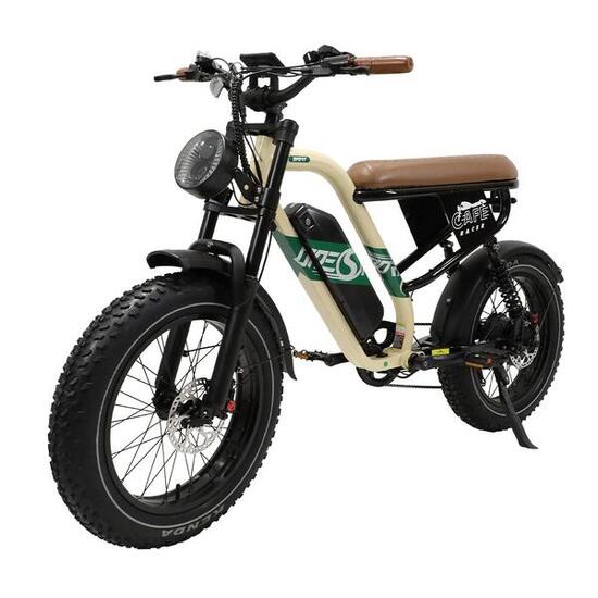Bici elettrica off-road W66 adulti pneumatico 20" largo batteria 48V 135Ah