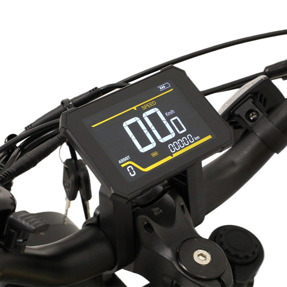 Bici elettrica off-road W66 adulti, pneumatico 20" largo, batteria 48V 13,5Ah 4/7