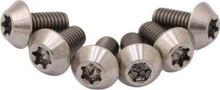 Pride Racing T25 Titanium Silver Disc Screws