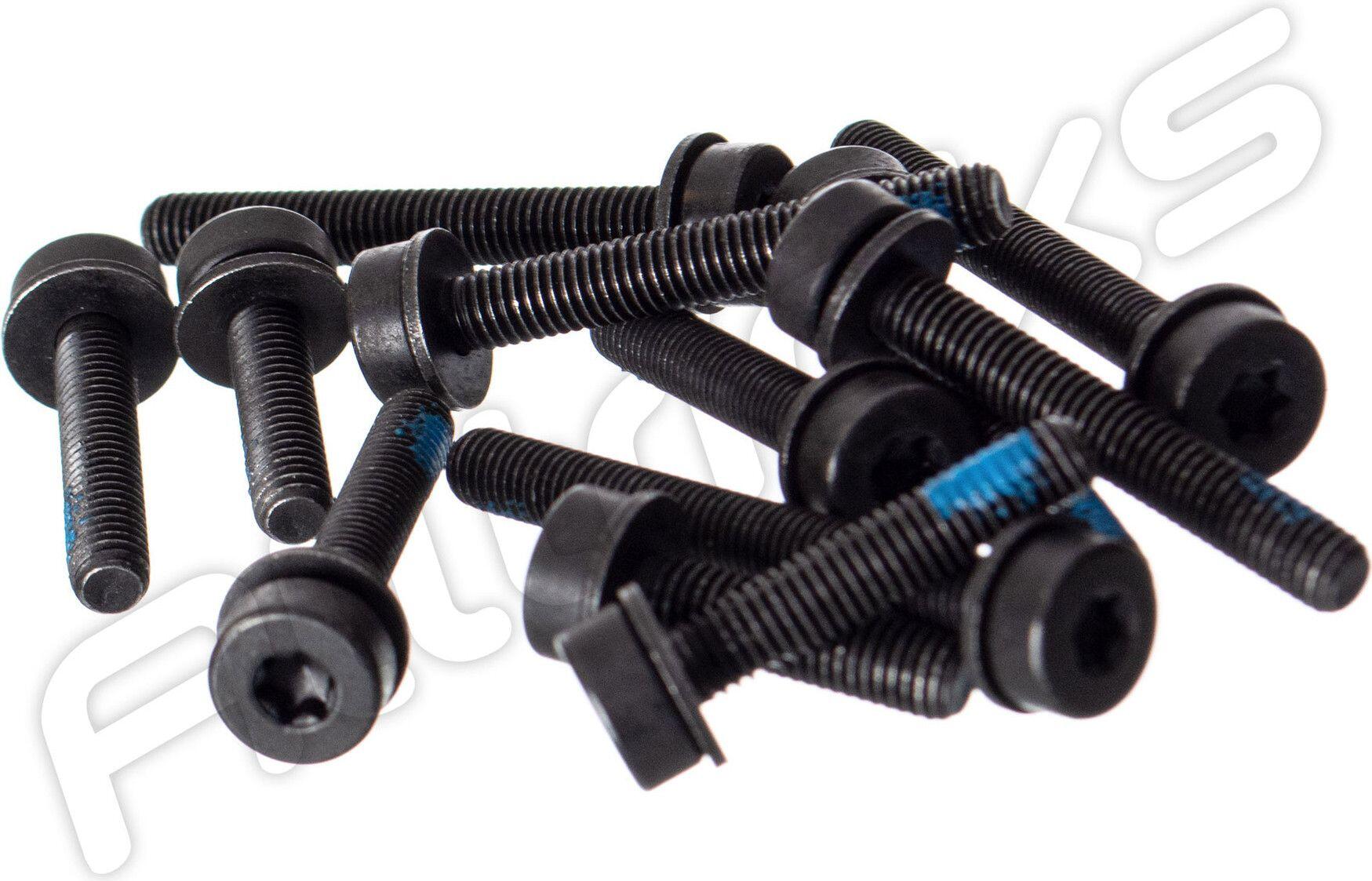 Visserie Torx Magura Flat Mount Arrière 2/2
