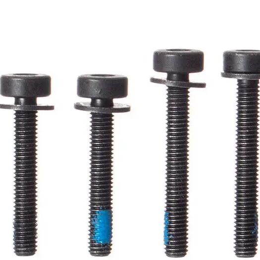 MAGURA Set of FLATMOUNT Screws for Rear Wheel