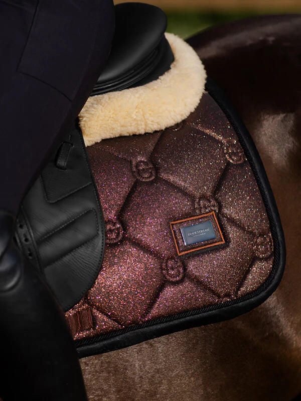 EQUESTRIAN STOCKHOLM picture