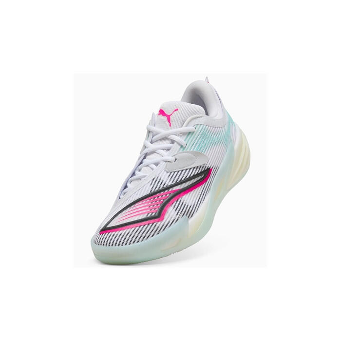 PUMA picture