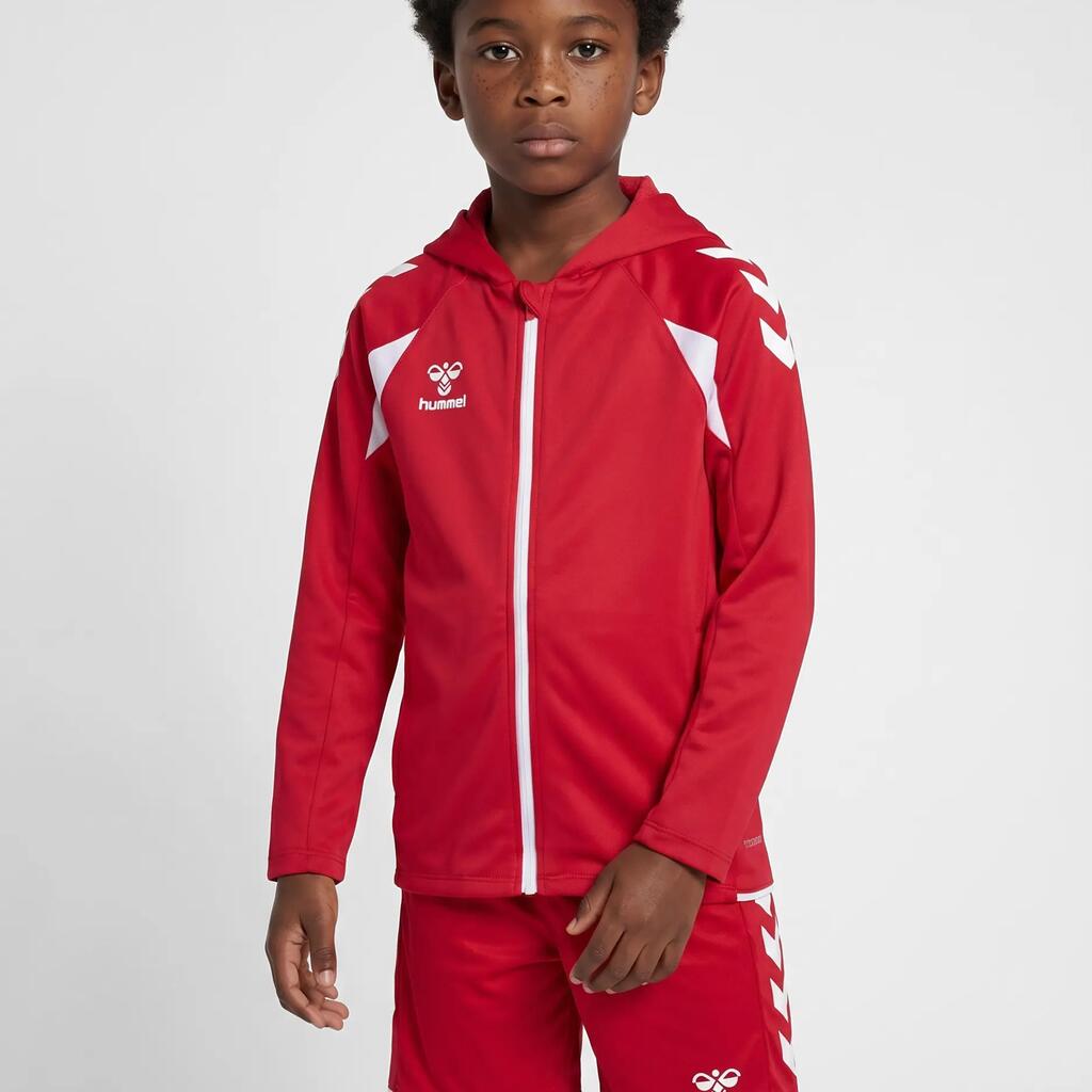 Hooded sweatshirt with zipper Hummel Core 2.0