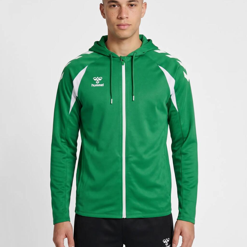 Hooded sweatshirt Hummel Core 2.0