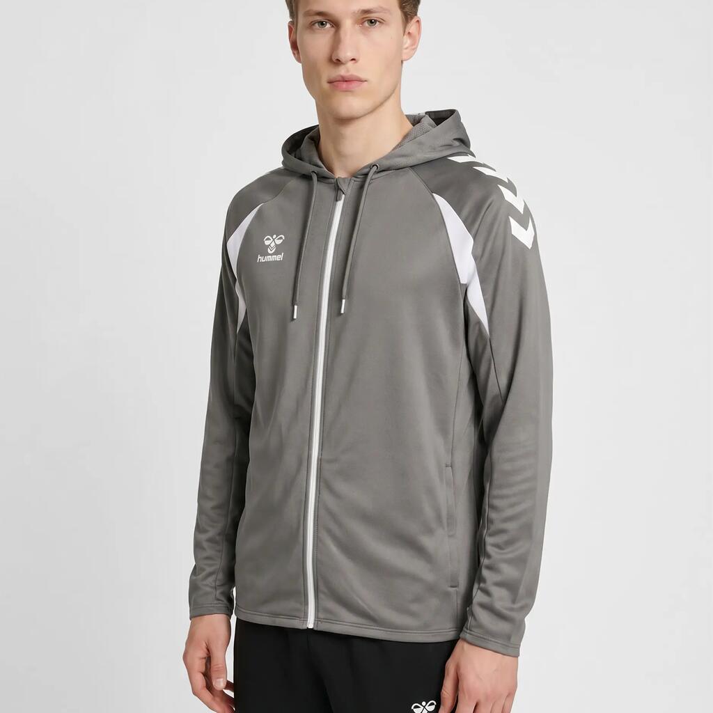 Hooded sweatshirt Hummel Core 2.0