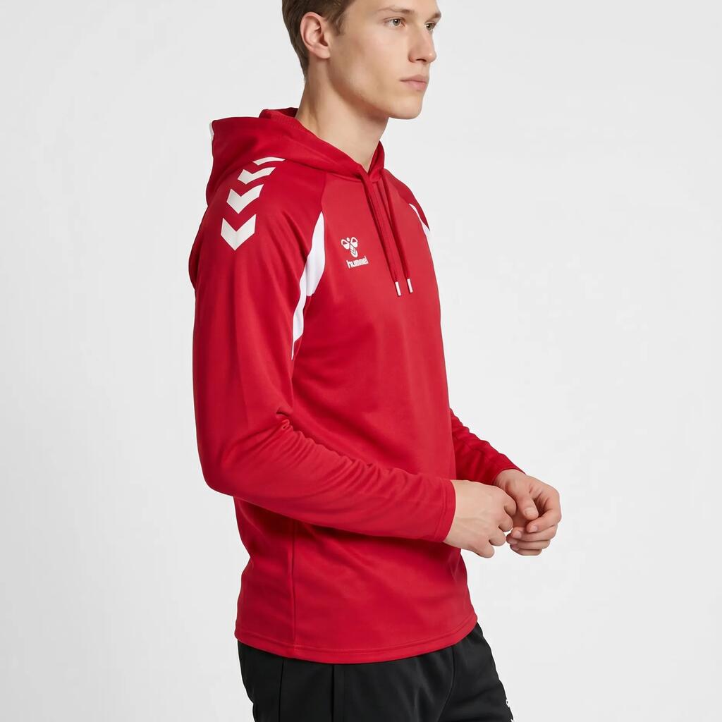 Hooded sweatshirt Hummel Core 2.0