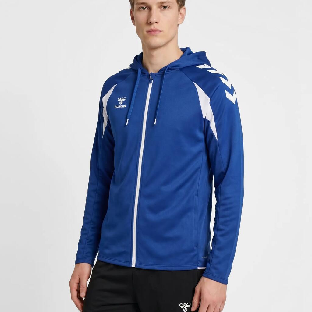 Hooded sweatshirt Hummel Core 2.0