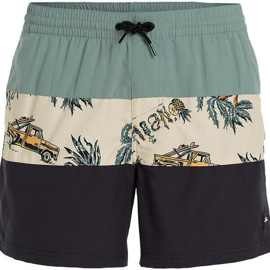 Herren Short M MIX AND MATCH CALI BLOCK 15'' SWIM SHORTS